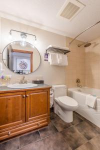 坎莫尔集团黑石山林小屋酒店的浴室配有盥洗池、卫生间、浴缸和镜子