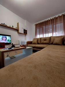 地拉那Gex apartments的带沙发和电视的客厅