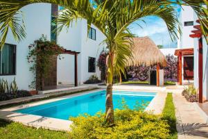 巴卡拉尔Casa Mágico Bacalar的棕榈树别墅和游泳池