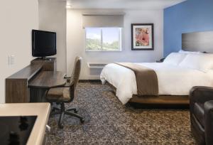 East MolineMy Place Hotel-East Moline/Quad Cities, IL的酒店客房配有一张床、一张书桌和一台电视。