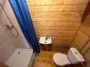 DurbeVītolu nams - atpūta ar saunu un makšķerēšanu的一间带卫生间和水槽的小浴室