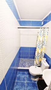 阿拉木图Двухместные апартаменты со всеми удобствами的蓝色和白色的浴室设有卫生间和淋浴。