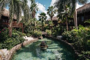 威廉斯塔德康提基海滩度假酒店的棕榈树度假村中心的一个游泳池