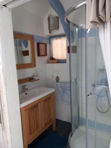 ChâtresLa Bord de Mer (au Portail Bleu)的一间带水槽和淋浴的浴室