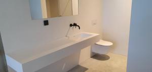 AizkrauklePakalni的白色的浴室设有水槽和卫生间。