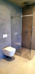 AizkrauklePakalni的一间带卫生间和玻璃淋浴间的浴室