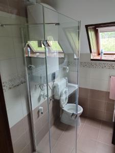 BadacsonyörsKlára Vendégház的一间带卫生间和玻璃淋浴间的浴室