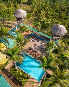 Monte RojoHacienda Cocuyo的享有棕榈树游泳池的顶部景致
