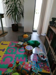 LauweHet Preshoekhuis的一间玩具和书籍的房间