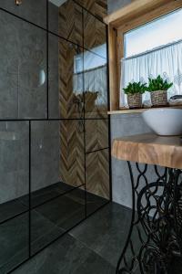 考斯赛力克Obrochtowa Chata的一间带玻璃淋浴间和水槽的浴室