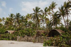 GuachacaLote 10 Glamping的海滩上的棕榈树和小屋
