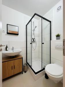 雷姆沙伊德Sali - R1 - Apartmenthaus, WLAN, TV的带淋浴、卫生间和盥洗盆的浴室