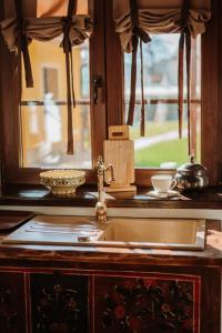 波卢巴库苏斯Joyard - Pensiune & Parc的带水槽的厨房台面和窗户