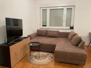 卢布尔雅那Mely Rose的客厅配有棕色沙发和电视