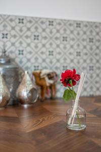 菲尔福尔德Le Petit Riad的花瓶里的红花