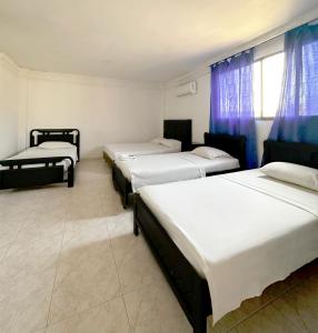 巴兰基亚Hotel Costa Caribe的带蓝色窗帘的客房内的三张床