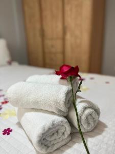 尼基亚娜Anna's Apartments的床上的毛巾上坐着玫瑰