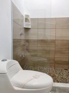别霍港Ocean's Breeze Apartment and Rooms的带淋浴的浴室内的白色卫生间