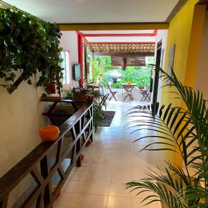 普拉亚多La Casita Hostel PF的植物和庭院的走廊