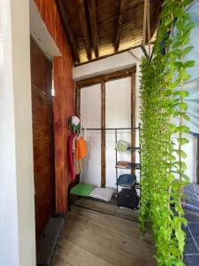 曼克拉Mancora Sunset House的一间设有绿色植物窗户的房间