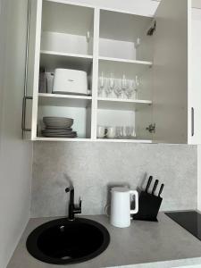 卡尔克尔Karklės Oazė的厨房柜台设有水槽、盘子和玻璃杯