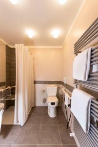 奎托·迪·特雷维索BHR特拉维索酒店的一间带卫生间和淋浴的浴室