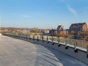 那慕尔Mercure Namur Hotel的一座河上的桥梁,以城市为背景