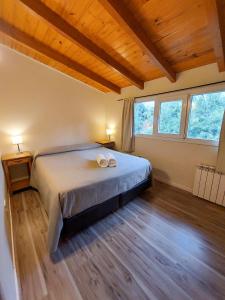 拉安戈斯图拉镇Cabaña Los Amancays的一间带一张大床的卧室,位于带窗户的房间内