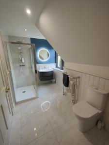BallycassidyChic Classy & Cosy in Lough Erne 5* Resort的浴室配有卫生间、淋浴和盥洗盆。