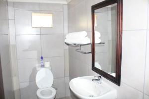 弗莱海德Kekeli B&B的一间带卫生间、水槽和镜子的浴室