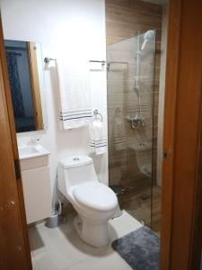 博卡奇卡Simply the most comfortable place next to Boca Chica beach的白色的浴室设有卫生间和淋浴。
