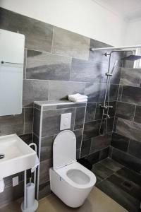 威廉斯塔德Casa Grosso的浴室配有卫生间、盥洗盆和淋浴。