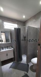 帕皮提PAMATAI COSY LODGE的带淋浴、卫生间和盥洗盆的浴室