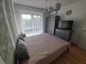 巴拉顿诺尔马迪Gizella Apartman的一间卧室配有一张床、一台电视和一个窗口