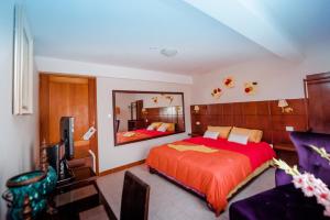 瓦努科Huanuco Pampa Suite的一间卧室配有一张大床和镜子
