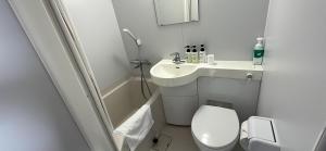饭田市World Business Hotel的一间带卫生间和水槽的小浴室