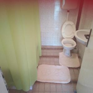 StolacJanina Hiša的一间带卫生间和水槽的浴室