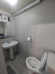 首尔Joy Guesthouse的一间带卫生间和水槽的浴室