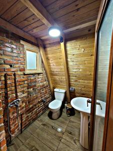 NepravishtëLife on the farm的木制浴室设有卫生间和水槽