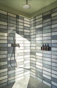 美因河畔法兰克福Gekko House Frankfurt, a Tribute Portfolio Hotel的带淋浴的浴室,带条纹墙