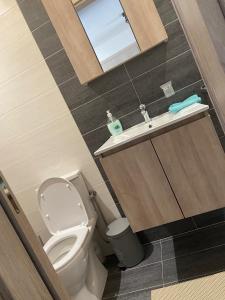 萨摩斯Passatempo Apartment Ireon的一间带卫生间和水槽的小浴室