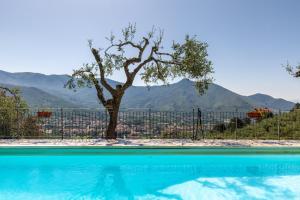 卡尔奇Podere Par di Rota的一座带树和围栏的游泳池