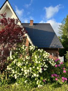 维斯莫尔lóuf的前面有一束鲜花的房子