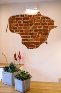 克莱佩达克莱佩达旅馆的砖墙,桌子上放着两盆植物