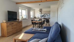 马瑟尔贝格Schnetter Hummel, Apartment 1的一间带蓝色沙发的客厅和一间厨房