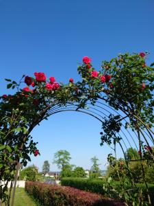 Haut-VullyMaison Champperbou的花园中花拱,玫瑰红色