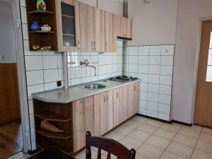CzeremchaGospodarstwo Agroturystyczne Julia的一个带木制橱柜和水槽的厨房