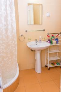 索科矿泉村Apartman SAN的一间带水槽和淋浴的浴室