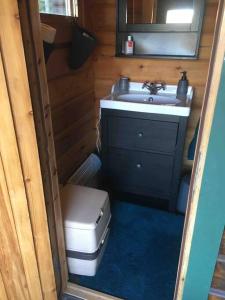 吕勒奥Log Cabin, forrest , sea view, north Sweden.的一间带水槽和卫生间的小浴室