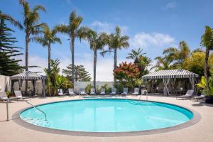 蒙特雷波托拉Spa酒店的一个带椅子的游泳池,棕榈树